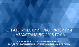 Стратегический план 2025
